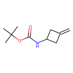 130369-04-9 / Carbamic acid, (3-methylenecyclobutyl)-, 1,1-dimethylethyl ester (9CI)