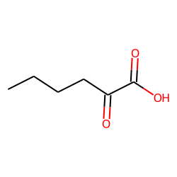 2492-75-3 / 2-Oxocaproic acid