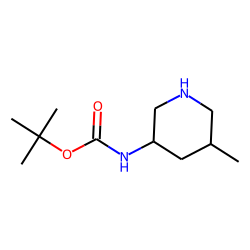 1203651-07-3 / (3S,5R)-3-(Boc-aMino)-5-Methylpiperidine