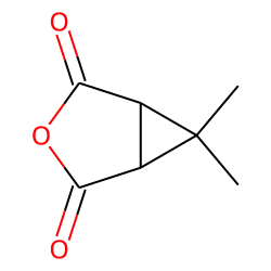67911-21-1 / Caronic anhydride