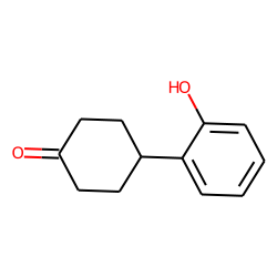 218776-64-8 / 4-(2-hydroxyphenyl)Cyclohexanone